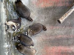 -泉州海丝野生动物世界