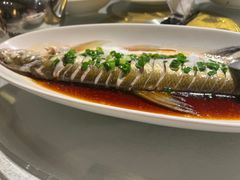 -金美华轩(东方路齐鲁店)