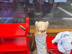 -金鼎雪山牦牛杂火锅(理县总店)