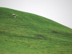 -霍比特人村