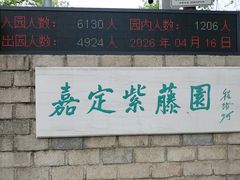 -嘉定紫藤园