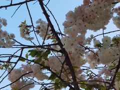 -芳芳餐厅(白沙路店)