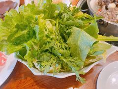 蔬菜菌类拼盘-草原牧羊火锅·龙虾·烤鱼(杨浦店)