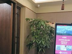 -鼎族怡华·指压·经络·疗愈SPA(紫荆店)