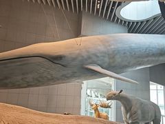 -国家自然博物馆