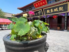 -天津市峰山药王古寺