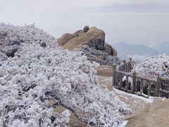 -天柱山风景区