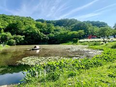 -南京老山国家森林公园