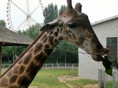 -石家庄市动物园