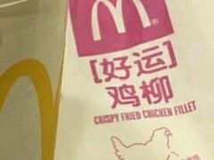 -麦当劳(新新大道岗丰店)