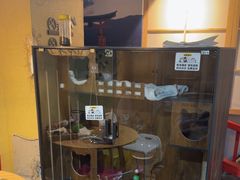 -白兔子密室(长寿路店)