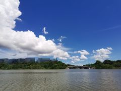 -华侨城湿地公园