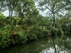 -西溪国家湿地公园