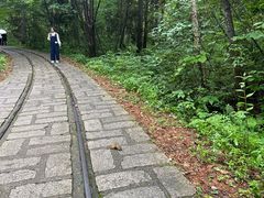 -五营国家森林公园