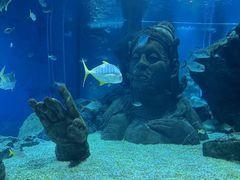-暹罗海洋世界