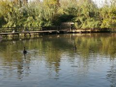 -溱湖国家湿地公园