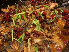 -老板恋上鱼(印象城店)