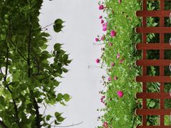-苏州文庙(姑苏区)