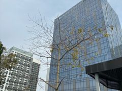 -深圳国际会展中心希尔顿酒店(前海华发冰雪世界店)