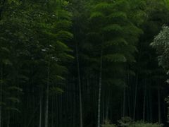 -黄公望隐居地
