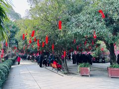 -房湖公园
