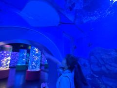 -顺德南宏海立方海洋公园