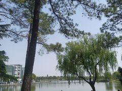 -美兰湖景区