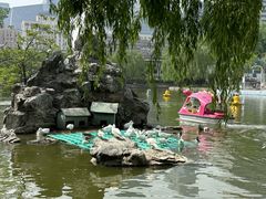 -团结湖公园
