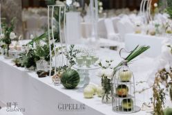 -保定金沙芝柏婚礼策划