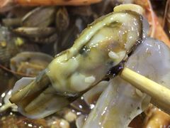刀蚬-海帮主·蒸汽海鲜青岛菜(栈桥火车站店)