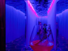 -OZONE 顶楼酒吧(香港丽思卡尔顿酒店)