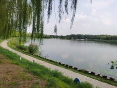 -素心小筑(后沙裕镇店)
