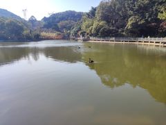 -广州市帽峰山景区
