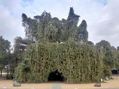 -上海月湖雕塑公园