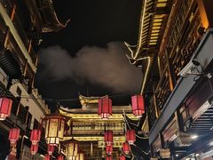 -傣妹火锅(张江高科店)