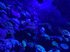 -太平洋海底世界