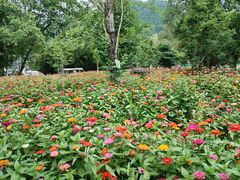 -花溪公园