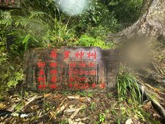 -海南热带雨林国家公园吊罗山景区