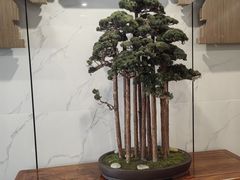 -北京邮电会议中心