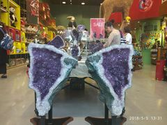-Behring World of Animals(上海自然博物馆店)