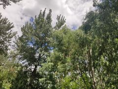 -宗角禄康公园