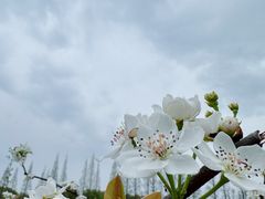 -同里国家湿地公园