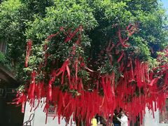 -东钱湖小普陀景区