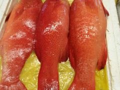 -龙宴海鲜城(经中路店)