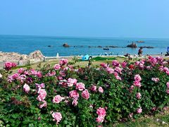 -青岛海滨风景区