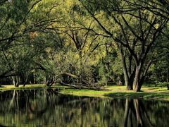 -上海共青森林公园