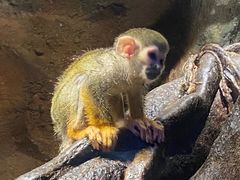 -哈尔滨波塞冬海底世界