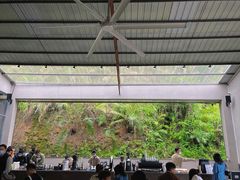 -来回·咖啡(钟村咖啡豆店)