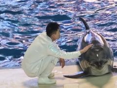 -泉城欧乐堡海洋极地世界