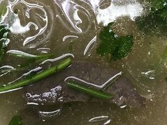 -回回锅贴(小河沿店)